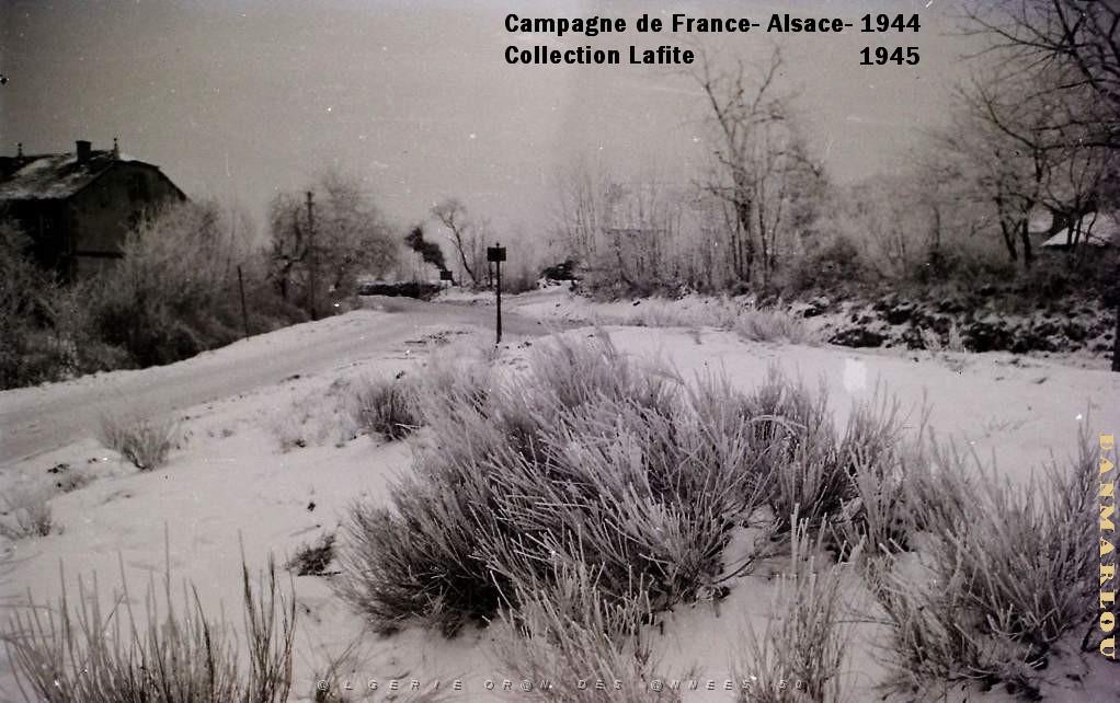 CAMPAGNE DE FRANCE ALSACE 1944 45  (20).JPG